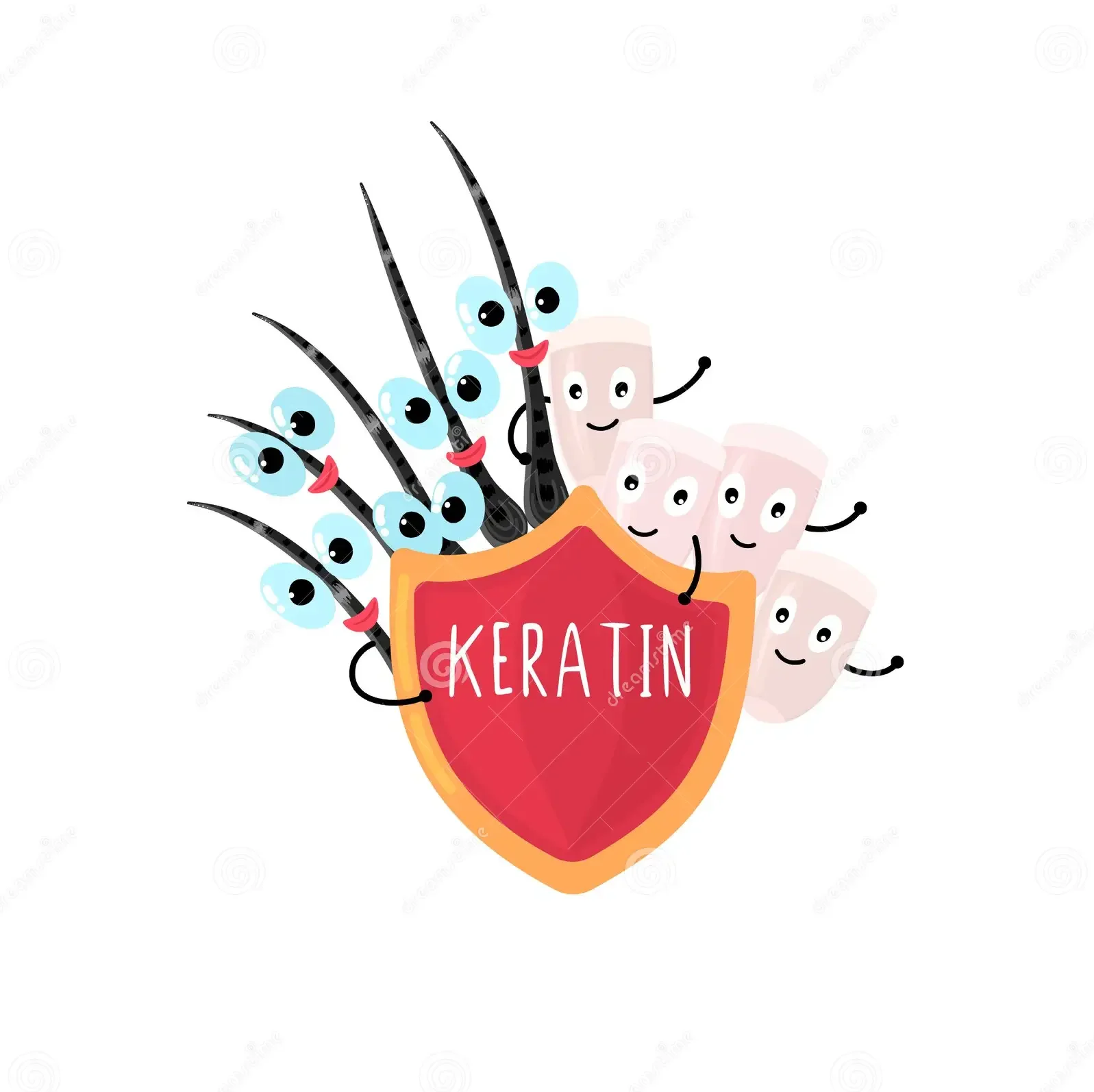 keratin - keratin bonds - keratin bonding